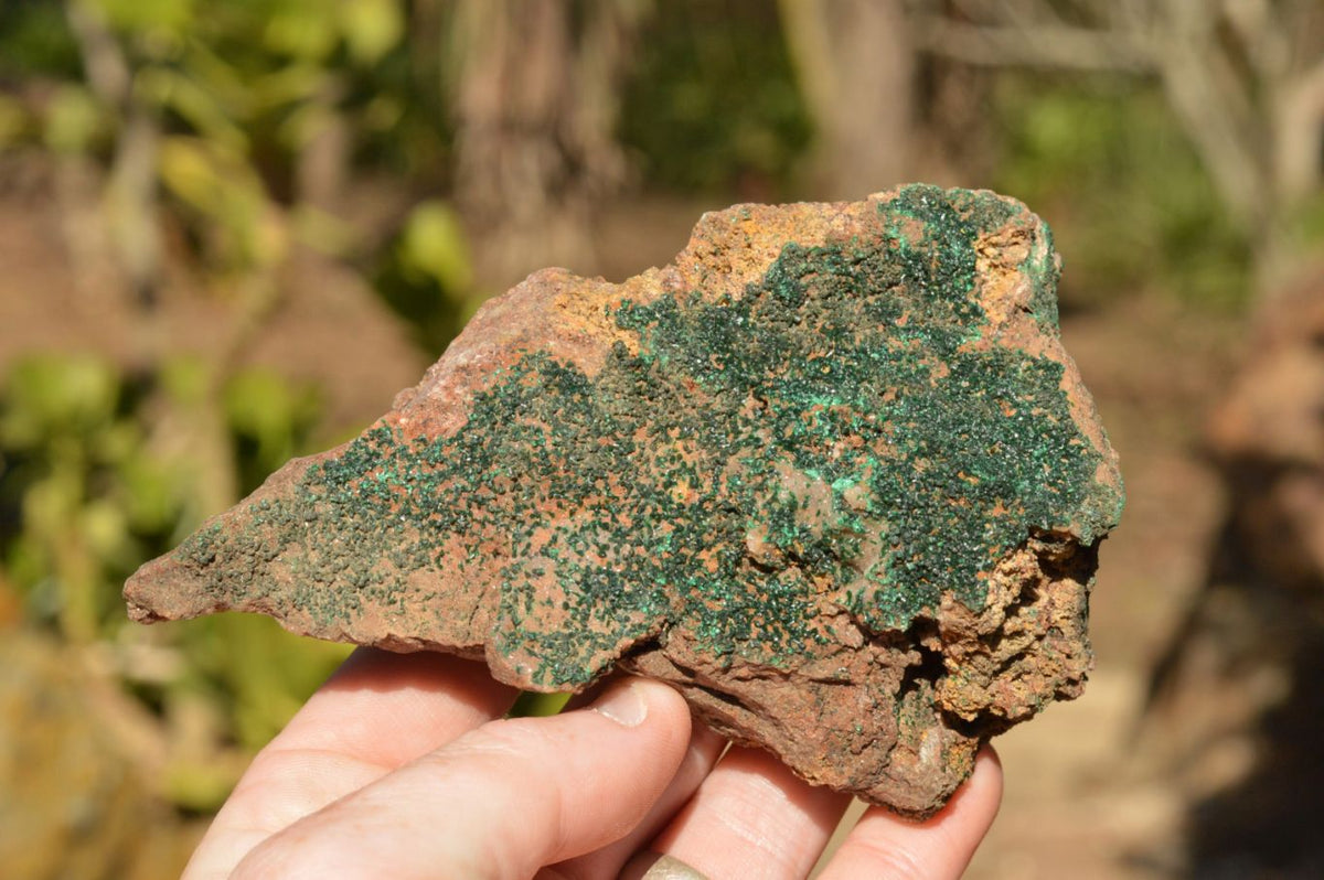 Natural Micro Botryoidal Malachite Specimens x 5 From Congo - TopRock