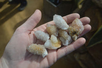 Natural Mixed Spirit Quartz Crystals x 70 From Boekenhouthoek, South Africa - Toprock Gemstones and Minerals