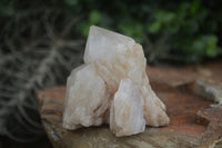 Natural Mixed Selection Of Quartz Specimens  x 12 From Southern Africa - Toprock Gemstones and Minerals