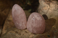 Polished Gemmy Pink Rose Quartz Standing Free Forms x 12 From Madagascar - Toprock Gemstones and Minerals