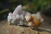 Natural Small Mixed Spirit Amethyst / Ametrine Specimens  x 35 From Boekenhouthoek, South Africa - Toprock Gemstones and Minerals