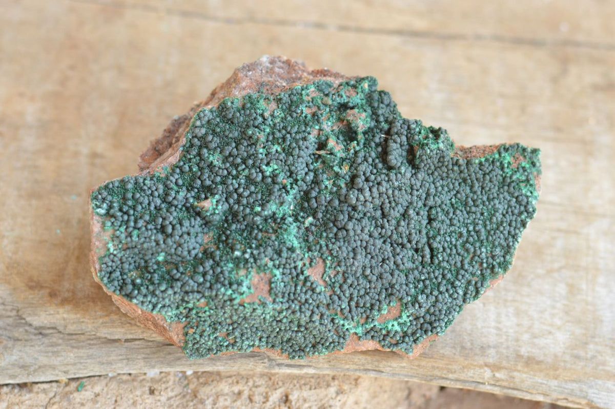 Natural Micro Botryoidal Malachite Specimens x 5 From Congo - TopRock