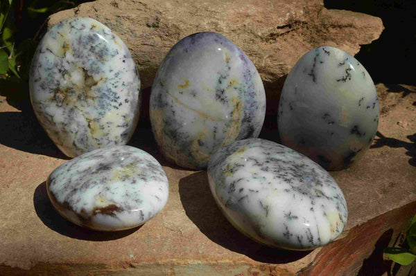 Polished Dendritic White Opal Standing Free Forms  x 6 From Madagascar - TopRock