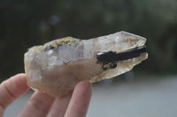 Natural Mixed Selection Of Quartz Specimens  x 12 From Southern Africa - Toprock Gemstones and Minerals