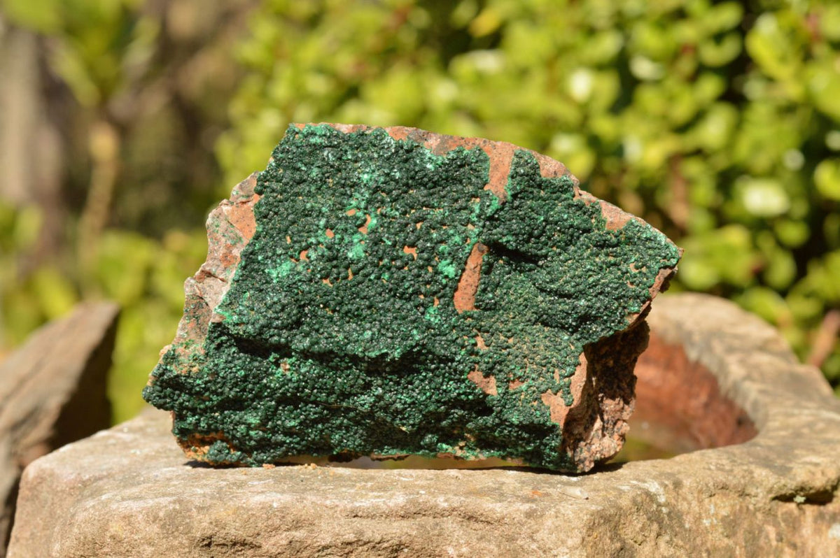 Natural Micro Botryoidal Malachite Specimens x 5 From Congo - TopRock