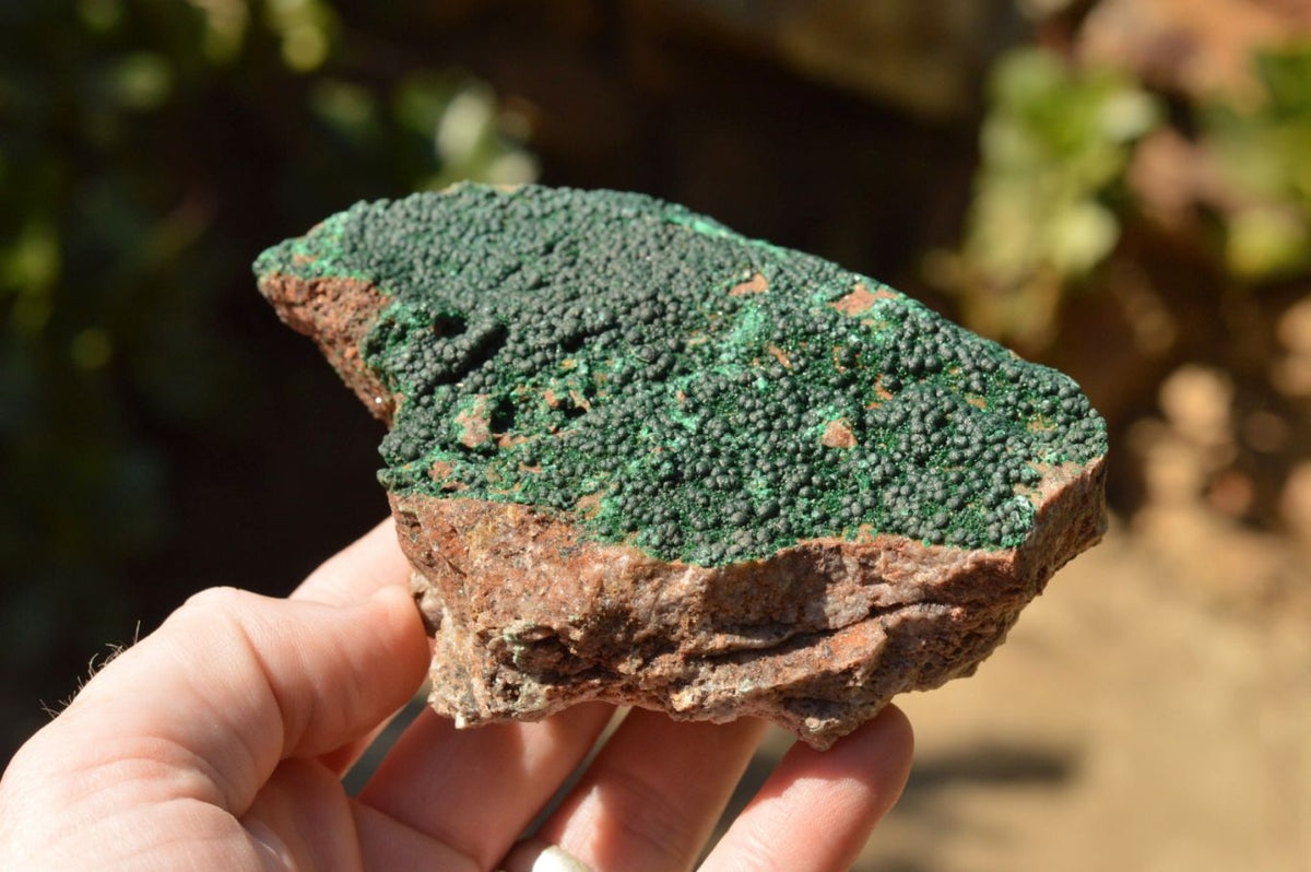 Natural Micro Botryoidal Malachite Specimens x 5 From Congo - TopRock