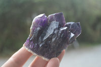 Natural Mixed Selection Of Quartz Specimens  x 12 From Southern Africa - Toprock Gemstones and Minerals