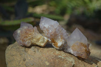 Natural Small Mixed Spirit Amethyst / Ametrine Specimens  x 35 From Boekenhouthoek, South Africa - Toprock Gemstones and Minerals
