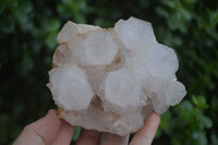 Natural White Spirit Quartz Clusters  x 2 From Boekenhouthoek, South Africa - Toprock Gemstones and Minerals