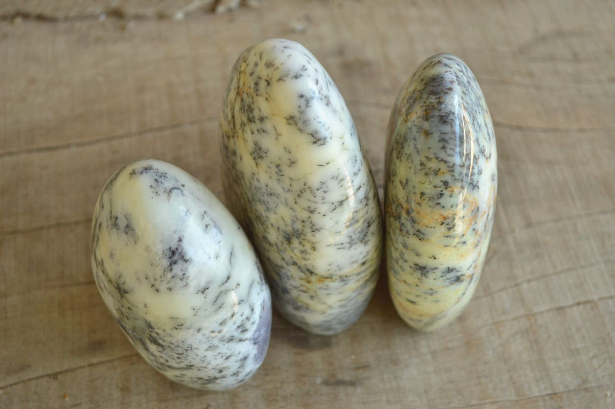 Polished Dendritic White Opal Standing Free Forms x 3 From Moralambo, Madagascar - TopRock