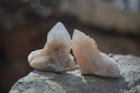 Natural Mixed Spirit Quartz Crystals x 70 From Boekenhouthoek, South Africa - Toprock Gemstones and Minerals