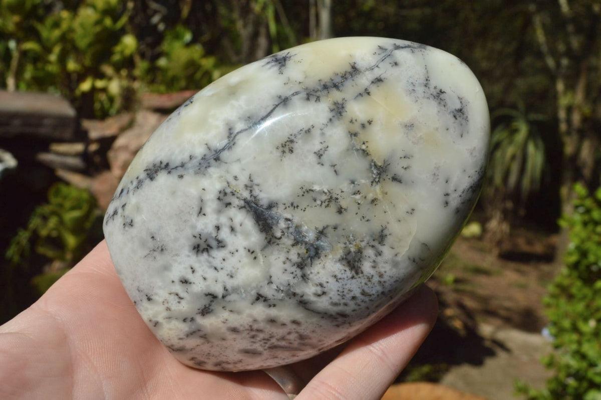 Polished Dendritic White Opal Standing Free Forms x 3 From Moralambo, Madagascar - TopRock