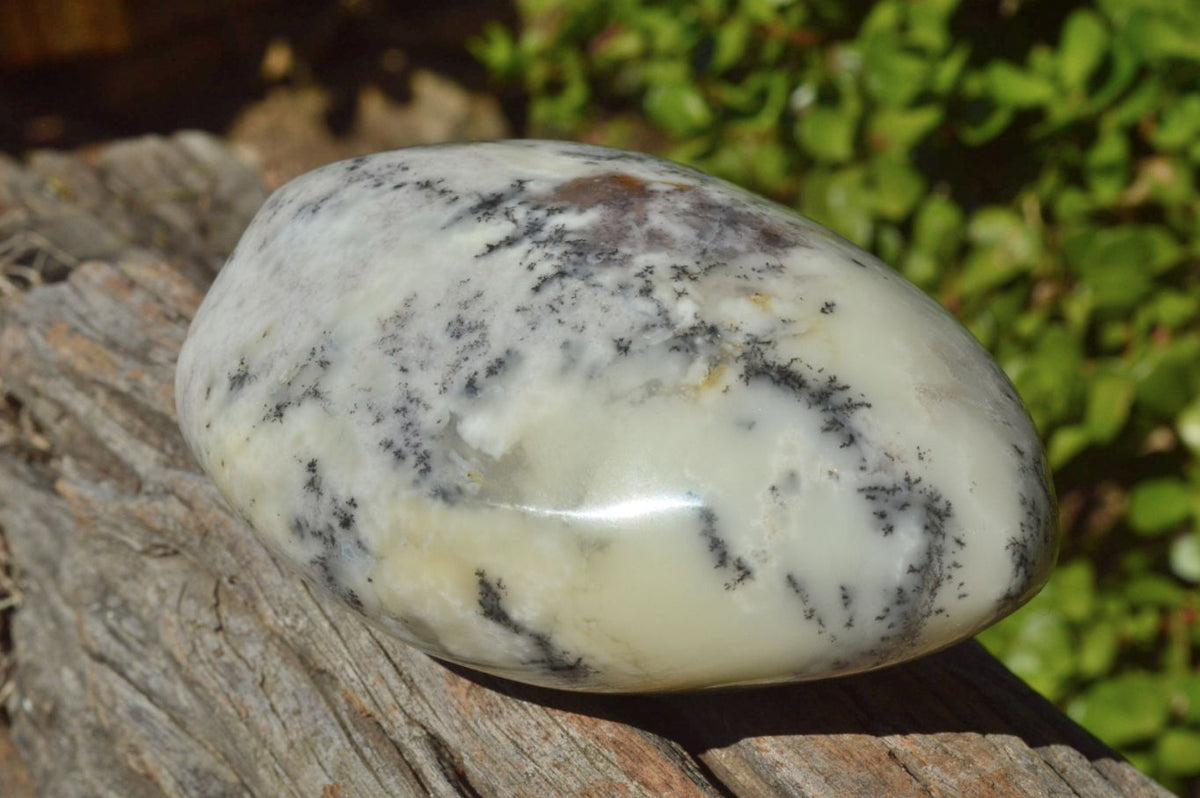 Polished Dendritic White Opal Standing Free Forms x 3 From Moralambo, Madagascar - TopRock