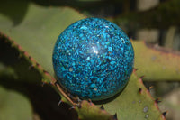 Polished Conglomerate Chrysocolla Spheres  x 2 From Congo - Toprock Gemstones and Minerals