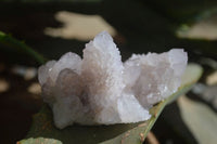 Natural Pale Lilac Spirit Quartz Clusters x 12 From Boekenhouthoek, South Africa - Toprock Gemstones and Minerals