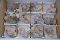 Natural Mixed Spirit Amethyst Quartz Clusters  x 12 From Boekenhouthoek, South Africa - Toprock Gemstones and Minerals