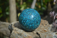 Polished Conglomerate Chrysocolla Spheres  x 2 From Congo - Toprock Gemstones and Minerals