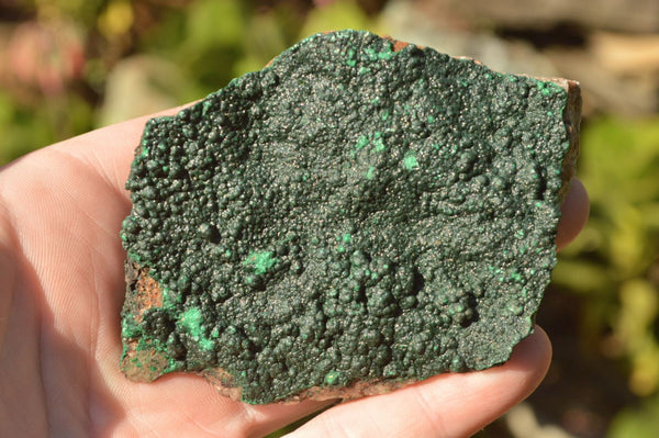 Natural Lovely Botryoidal Malachite on Matrix Specimens x 6 From Congo - TopRock