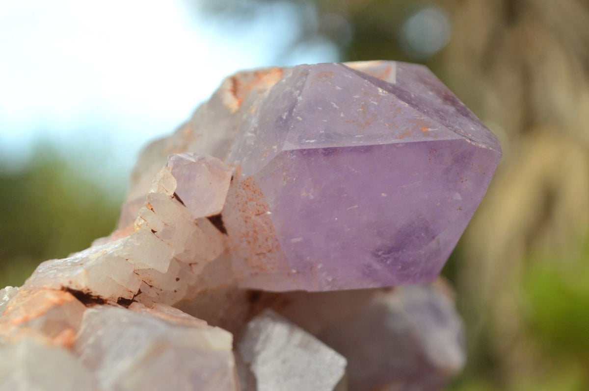Natural Jacaranda Amethyst Quartz Clusters With Hematoid Hues x 2 From Mambwe, Zambia - TopRock