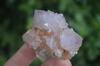 Natural Mixed Spirit Amethyst Quartz Clusters  x 12 From Boekenhouthoek, South Africa - Toprock Gemstones and Minerals