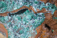 Natural Drusy Coated Ball Malachite On Dolomite Specimen x 1 From Likasi, Congo - Toprock Gemstones and Minerals