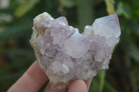 Natural Mixed Spirit Amethyst Quartz Clusters  x 12 From Boekenhouthoek, South Africa - Toprock Gemstones and Minerals