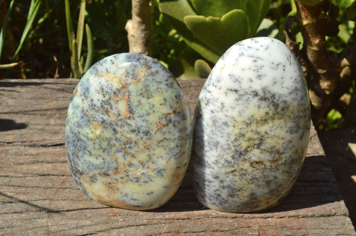 Polished Dendritic White Opal Standing Free Forms x 3 From Moralambo, Madagascar - TopRock