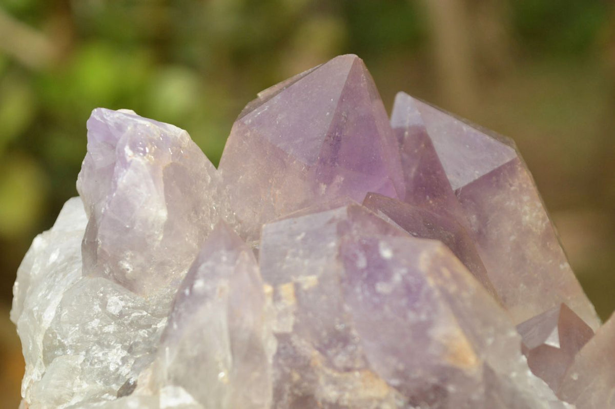 Natural Jacaranda Amethyst Quartz Clusters With Hematoid Hues x 2 From Mambwe, Zambia - TopRock