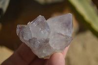 Natural Spirit Cactus Flower Quartz Crystals  x 20 From Boekenhouthoek, South Africa - Toprock Gemstones and Minerals