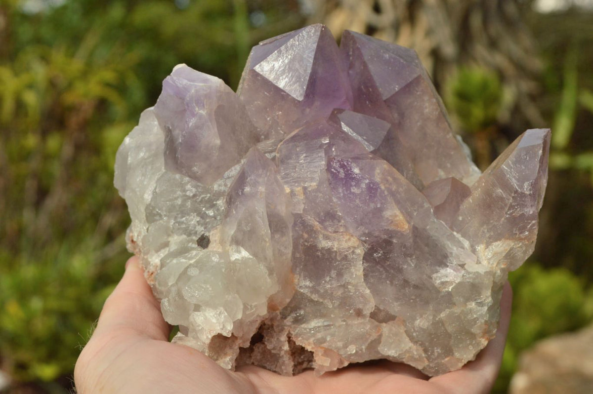 Natural Jacaranda Amethyst Quartz Clusters With Hematoid Hues x 2 From Mambwe, Zambia - TopRock