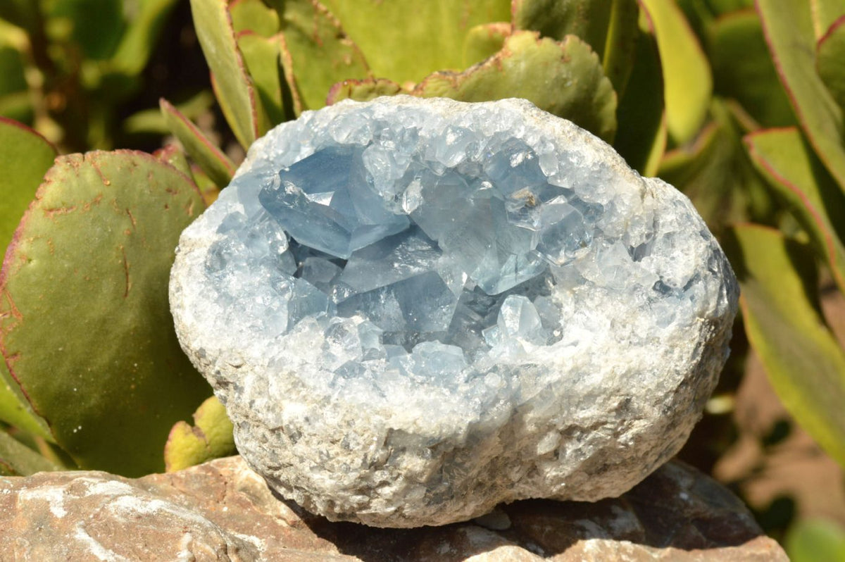 Natural Blue Celestite Geode Specimens x 2 From Sakoany, Madagascar - TopRock