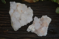 Natural White Spirit Cactus Quartz Clusters  x 2 From Boekenhouthoek, South Africa - Toprock Gemstones and Minerals