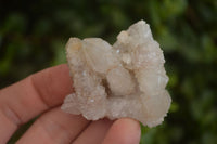 Natural White Spirit Quartz Clusters  x 12 From Boekenhouthoek, South Africa - Toprock Gemstones and Minerals