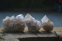 Natural Mixed Spirit Amethyst Quartz Clusters  x 12 From Boekenhouthoek, South Africa - Toprock Gemstones and Minerals