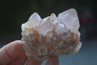 Natural Mixed Spirit Amethyst Quartz Clusters  x 12 From Boekenhouthoek, South Africa - Toprock Gemstones and Minerals