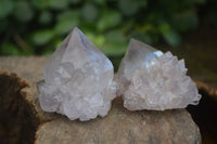 Natural Spirit Cactus Flower Quartz Crystals  x 20 From Boekenhouthoek, South Africa - Toprock Gemstones and Minerals