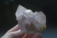 Natural Mixed Spirit Amethyst Quartz Clusters  x 12 From Boekenhouthoek, South Africa - Toprock Gemstones and Minerals
