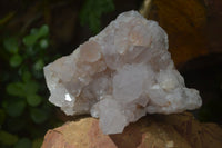 Natural White Spirit Cactus Quartz Clusters  x 2 From Boekenhouthoek, South Africa - Toprock Gemstones and Minerals