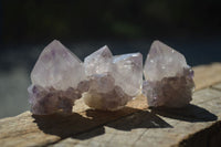 Natural Spirit Cactus Flower Quartz Crystals  x 20 From Boekenhouthoek, South Africa - Toprock Gemstones and Minerals