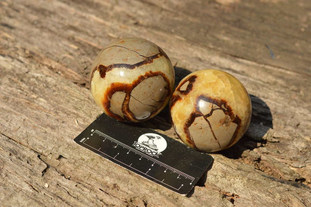 Polished Septarian (Calcite & Aragonite) Spheres x 6 From Mahajanga, Madagascar - TopRock