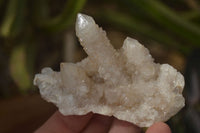 Natural White Spirit Quartz Clusters  x 12 From Boekenhouthoek, South Africa - Toprock Gemstones and Minerals