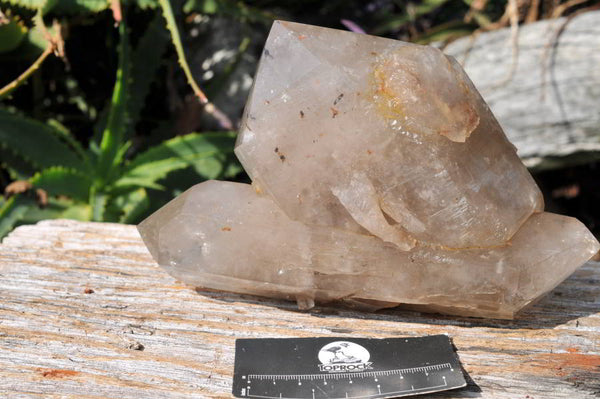 Natural Triple Terminated Arcadian Angola Quartz Crystal x 1 From Angola - TopRock