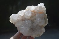 Natural White Spirit Cactus Quartz Clusters  x 2 From Boekenhouthoek, South Africa - Toprock Gemstones and Minerals