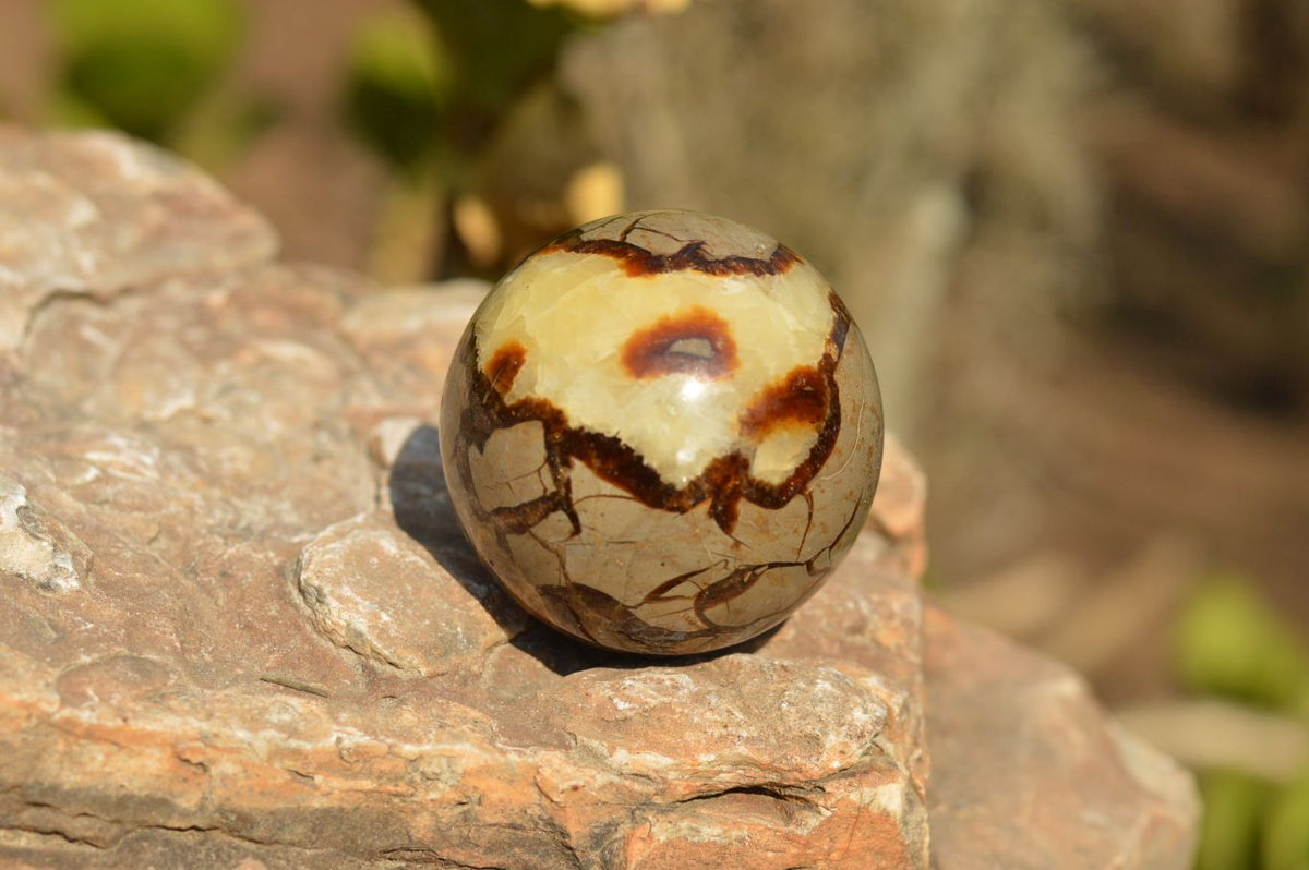 Polished Septarian (Calcite & Aragonite) Spheres x 6 From Mahajanga, Madagascar - TopRock