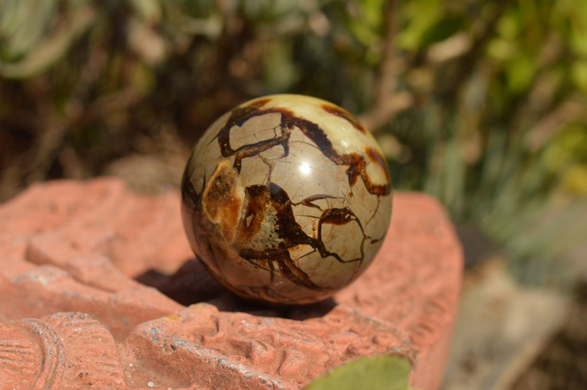 Polished Septarian (Calcite & Aragonite) Spheres x 6 From Mahajanga, Madagascar - TopRock