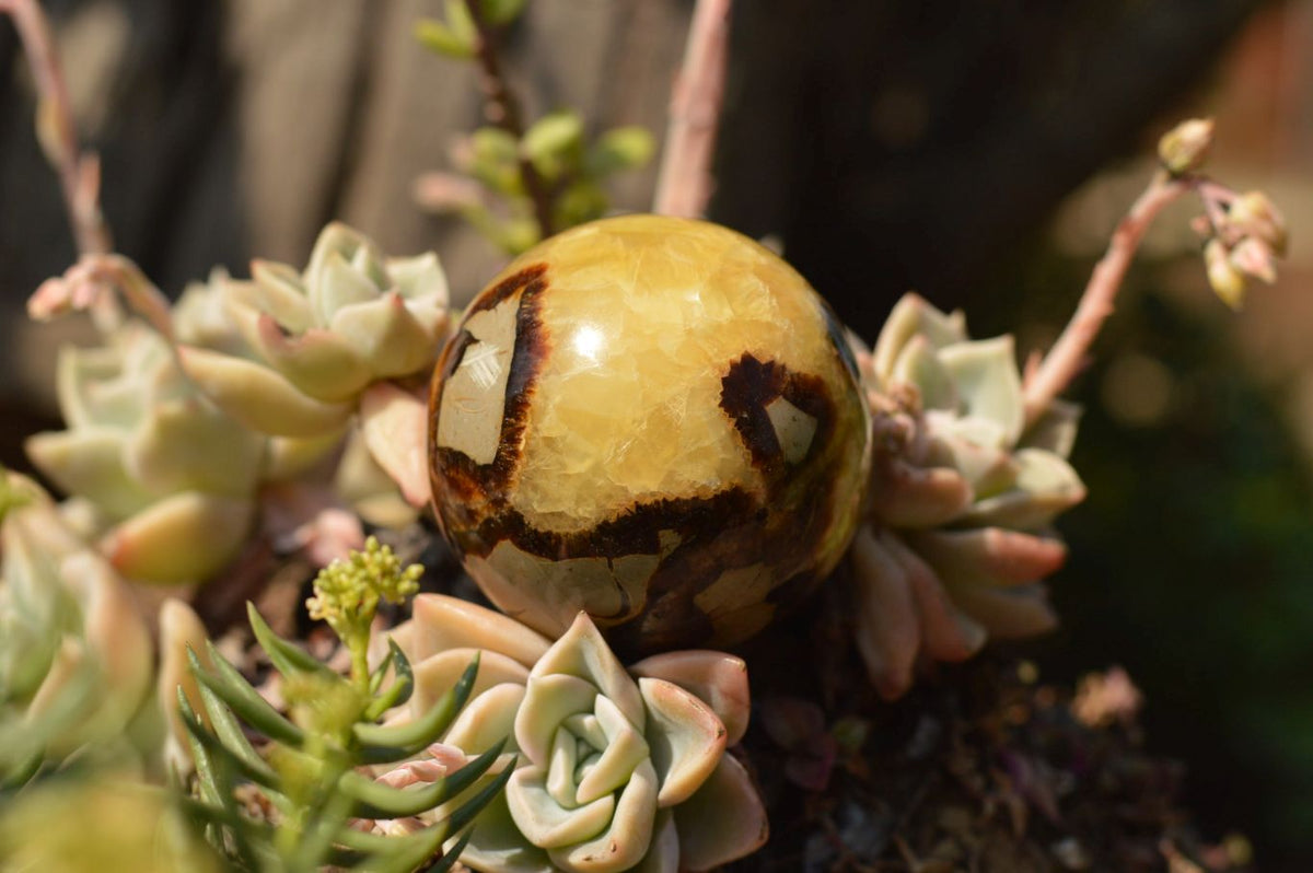 Polished Septarian (Calcite & Aragonite) Spheres x 6 From Mahajanga, Madagascar - TopRock