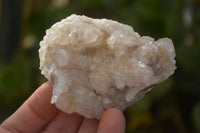 Natural White Spirit Quartz Clusters  x 12 From Boekenhouthoek, South Africa - Toprock Gemstones and Minerals