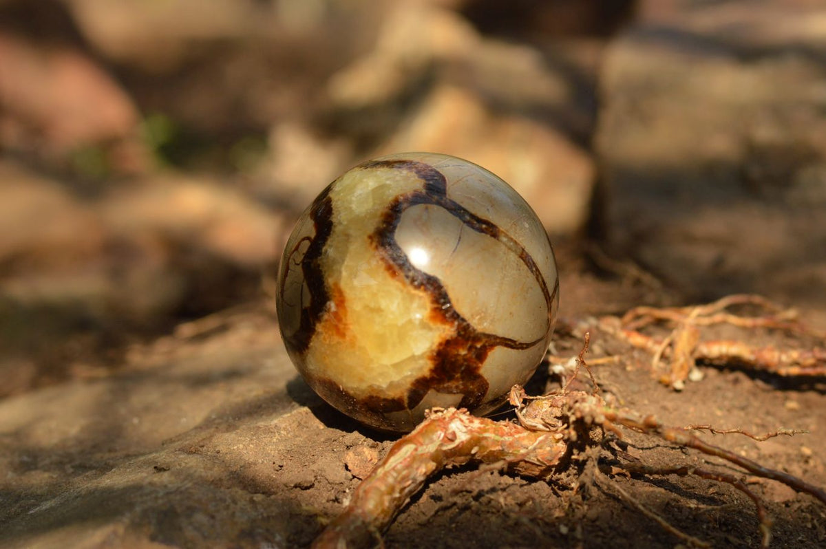 Polished Septarian (Calcite & Aragonite) Spheres x 6 From Mahajanga, Madagascar - TopRock