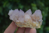 Natural Small Spirit Amethyst Quartz Specimens  x 12 From Boekenhouthoek, South Africa - Toprock Gemstones and Minerals