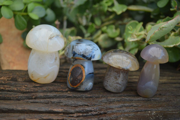Polished Highly Selected Agate Mushroom Carvings  x 12 From Madagascar - Toprock Gemstones and Minerals 